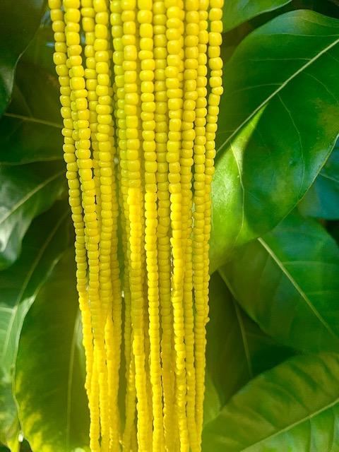 Sunflower Yellow Screw On